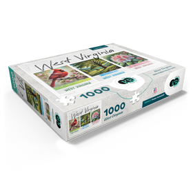 1000