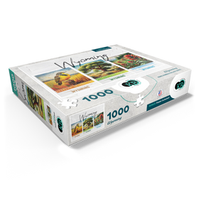 1000