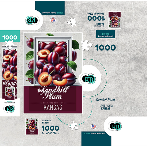 Colorful Fruits: Kansas, Sandhill Plum -State Fruits Series 1000 Jigsaw Puzzle box 3D Modell