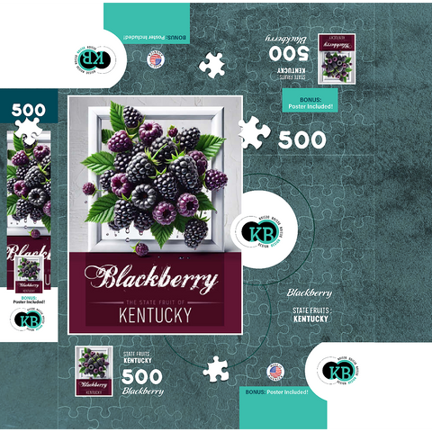 Colorful Fruits: Kentucky, Blackberry -State Fruits Series 500 Jigsaw Puzzle box 3D Modell