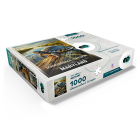 1000