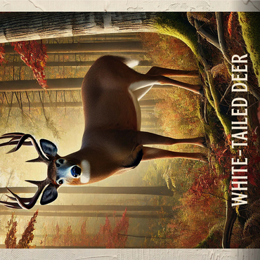 Michigan, White-Tailed Deer: State Animals Series 1000 Jigsaw Puzzle 3D Modell