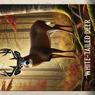 Michigan, White-Tailed Deer: State Animals Series 500 Jigsaw Puzzle 3D Modell