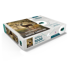 1000