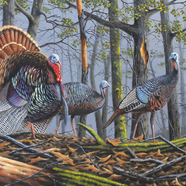 Wild Eastern Turkeys in Foggy Woodland 1000 Jigsaw Puzzle 3D Modell