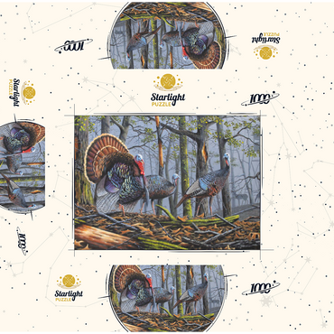 Wild Eastern Turkeys in Foggy Woodland 1000 Jigsaw Puzzle box 3D Modell
