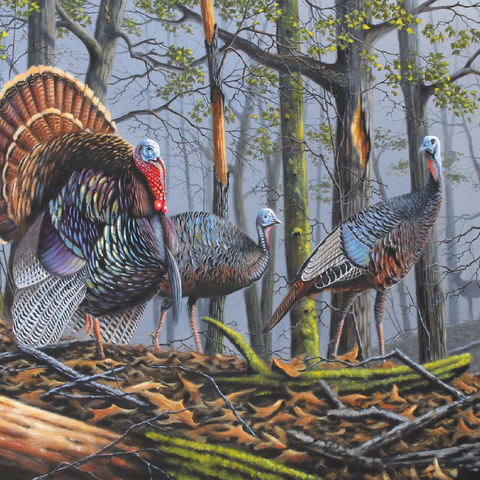 Wild Eastern Turkeys in Foggy Woodland 100 Jigsaw Puzzle 3D Modell
