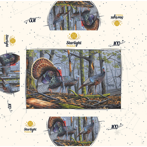 Wild Eastern Turkeys in Foggy Woodland 100 Jigsaw Puzzle box 3D Modell