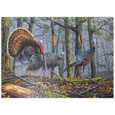 puzzleplate Wild Eastern Turkeys in Foggy Woodland 500 Jigsaw Puzzle