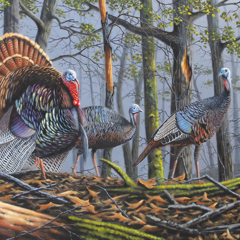 Wild Eastern Turkeys in Foggy Woodland 500 Jigsaw Puzzle 3D Modell