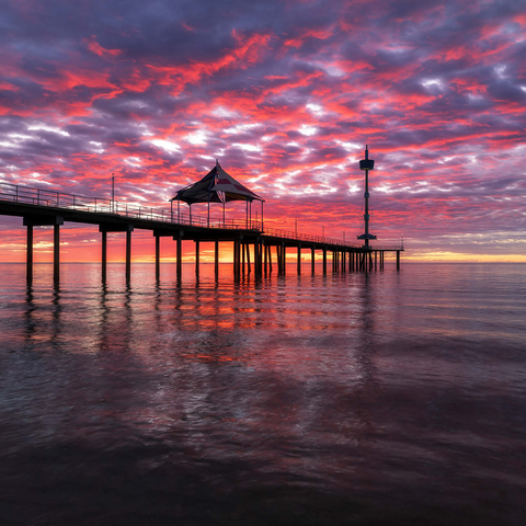 Brighton Jetty Sunset Reflection, South Australia 1000 Jigsaw Puzzle 3D Modell