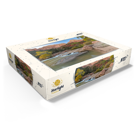 Virgin River Cascade in Zion National Park 1000 Jigsaw Puzzle box view1