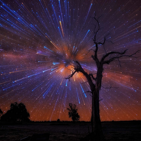 Radiant Starburst Sky over Lone Tree at Night 100 Jigsaw Puzzle 3D Modell