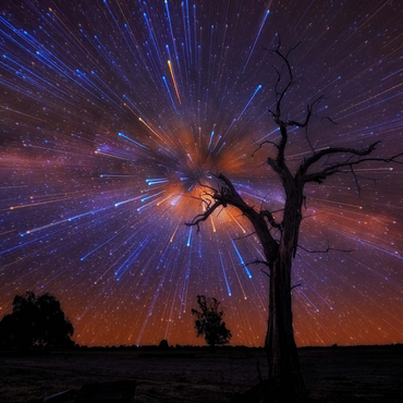 Radiant Starburst Sky over Lone Tree at Night 500 Jigsaw Puzzle 3D Modell