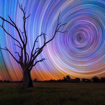 Star Trails Over Lone Tree - Cosmic Night Sky 1000 Jigsaw Puzzle 3D Modell