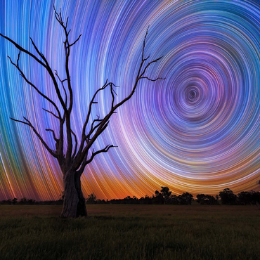 Star Trails Over Lone Tree - Cosmic Night Sky 100 Jigsaw Puzzle 3D Modell