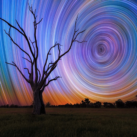 Star Trails Over Lone Tree - Cosmic Night Sky 100 Jigsaw Puzzle 3D Modell