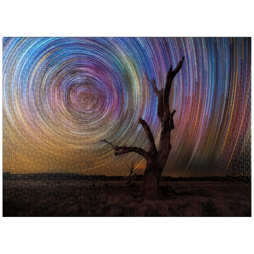 puzzleplate Colorful Star Trails Above Barren Tree - Night Sky Spiral 1000 Jigsaw Puzzle