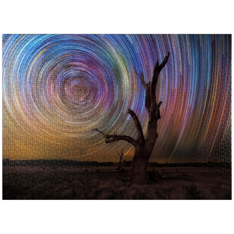 puzzleplate Colorful Star Trails Above Barren Tree - Night Sky Spiral 1000 Jigsaw Puzzle