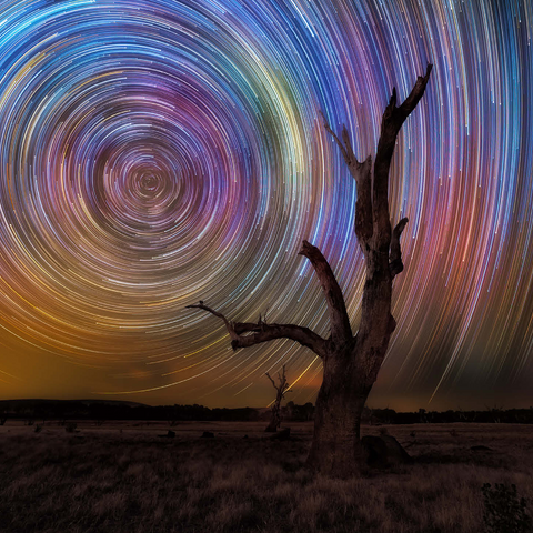 Colorful Star Trails Above Barren Tree - Night Sky Spiral 1000 Jigsaw Puzzle 3D Modell