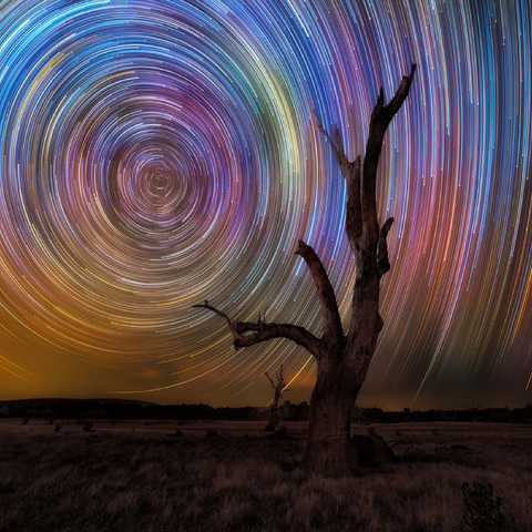 Colorful Star Trails Above Barren Tree - Night Sky Spiral 100 Jigsaw Puzzle 3D Modell