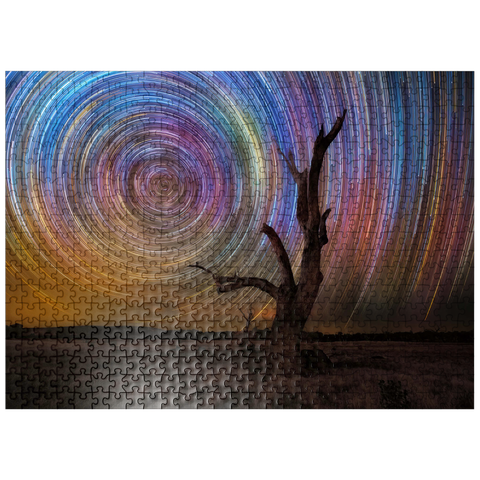 puzzleplate Colorful Star Trails Above Barren Tree - Night Sky Spiral 500 Jigsaw Puzzle