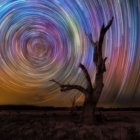 Colorful Star Trails Above Barren Tree - Night Sky Spiral 500 Jigsaw Puzzle 3D Modell