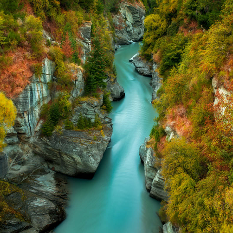 Shotover River Gorge - Autumn in Queenstown 100 Jigsaw Puzzle 3D Modell