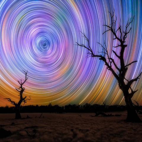 Outback Star Trails - Night Sky over Australian Wilderness 100 Jigsaw Puzzle 3D Modell