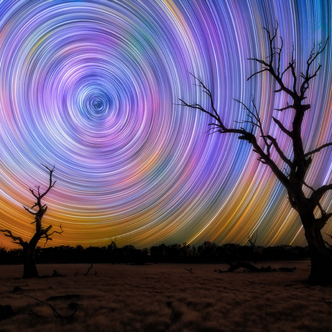 Outback Star Trails - Night Sky over Australian Wilderness 500 Jigsaw Puzzle 3D Modell