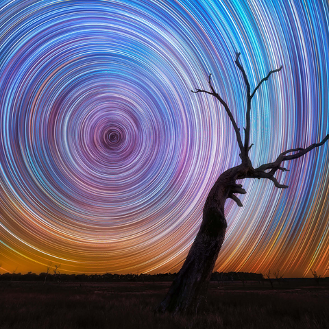 Vibrant Star Trails Over Australian Outback Tree 1000 Jigsaw Puzzle 3D Modell