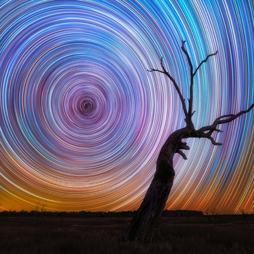 Vibrant Star Trails Over Australian Outback Tree 500 Jigsaw Puzzle 3D Modell