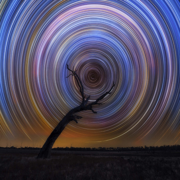 Star Trail Spiral Over Lone Outback Tree 1000 Jigsaw Puzzle 3D Modell