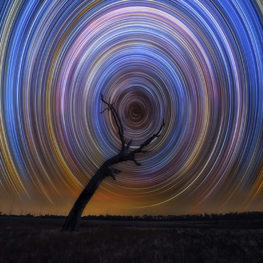 Star Trail Spiral Over Lone Outback Tree 100 Jigsaw Puzzle 3D Modell