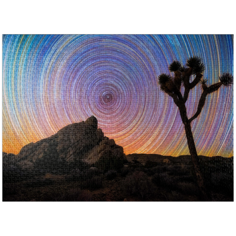puzzleplate Joshua Tree Under Spiral Star Trails 1000 Jigsaw Puzzle