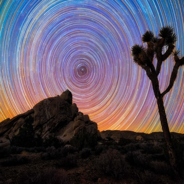 Joshua Tree Under Spiral Star Trails 100 Jigsaw Puzzle 3D Modell