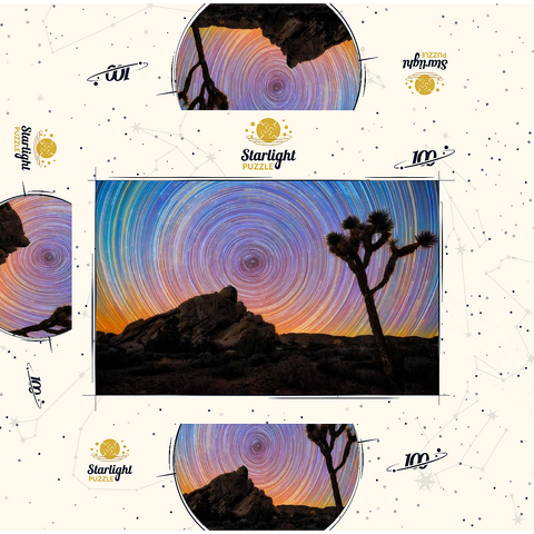 Joshua Tree Under Spiral Star Trails 100 Jigsaw Puzzle box 3D Modell