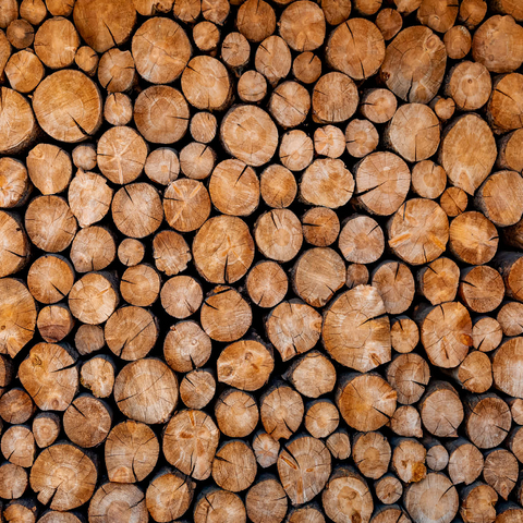 Stacked Firewood Logs with Natural Texture 1000 Jigsaw Puzzle 3D Modell