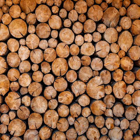 Stacked Firewood Logs with Natural Texture 500 Jigsaw Puzzle 3D Modell