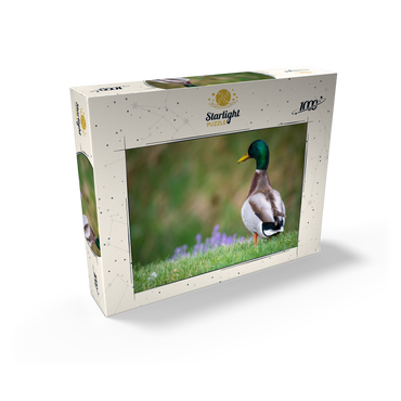 Mallard Duck on Spring Meadow with Flowers 1000 Jigsaw Puzzle box view2