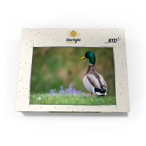 Mallard Duck on Spring Meadow with Flowers 1000 Jigsaw Puzzle box view3