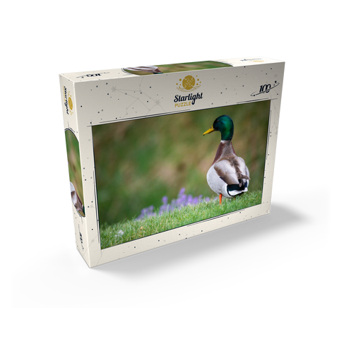 Mallard Duck on Spring Meadow with Flowers 100 Jigsaw Puzzle box view2