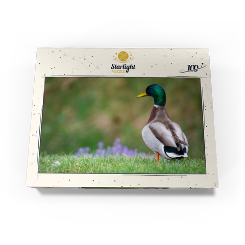 Mallard Duck on Spring Meadow with Flowers 100 Jigsaw Puzzle box view3