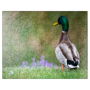 puzzleplate Mallard Duck on Spring Meadow with Flowers 100 Jigsaw Puzzle