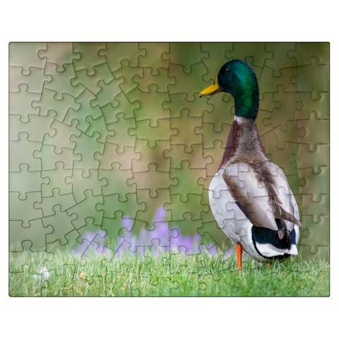 puzzleplate Mallard Duck on Spring Meadow with Flowers 100 Jigsaw Puzzle
