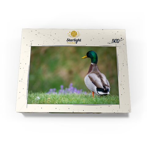 Mallard Duck on Spring Meadow with Flowers 500 Jigsaw Puzzle box view3