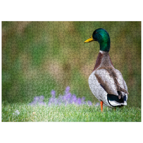 puzzleplate Mallard Duck on Spring Meadow with Flowers 500 Jigsaw Puzzle