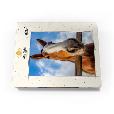 Clydesdale Horse Close-Up with Blue Sky Backdrop 1000 Jigsaw Puzzle box view3
