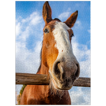 puzzleplate Clydesdale Horse Close-Up with Blue Sky Backdrop 1000 Jigsaw Puzzle