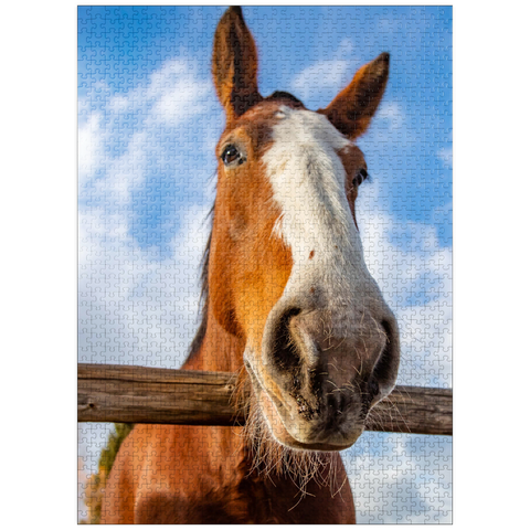 puzzleplate Clydesdale Horse Close-Up with Blue Sky Backdrop 1000 Jigsaw Puzzle